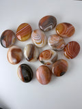 Banded Carnelian Pillow Palm